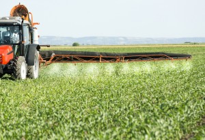 Farmer in red tractor spraying soybean field with herbicides, pesticides and fungicides